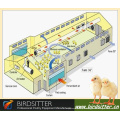 Birdsitter ISO9001 qualifizierte automatische Huhn Haus-Broiler